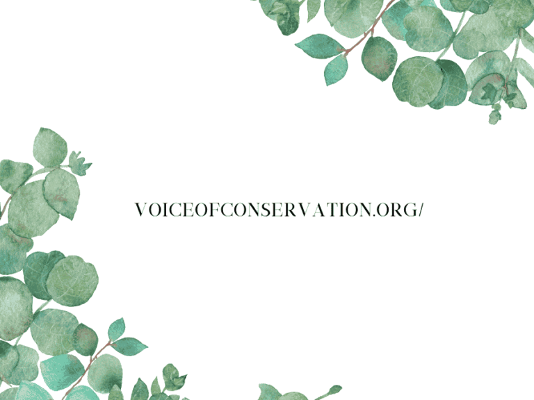voiceofconservation.org/